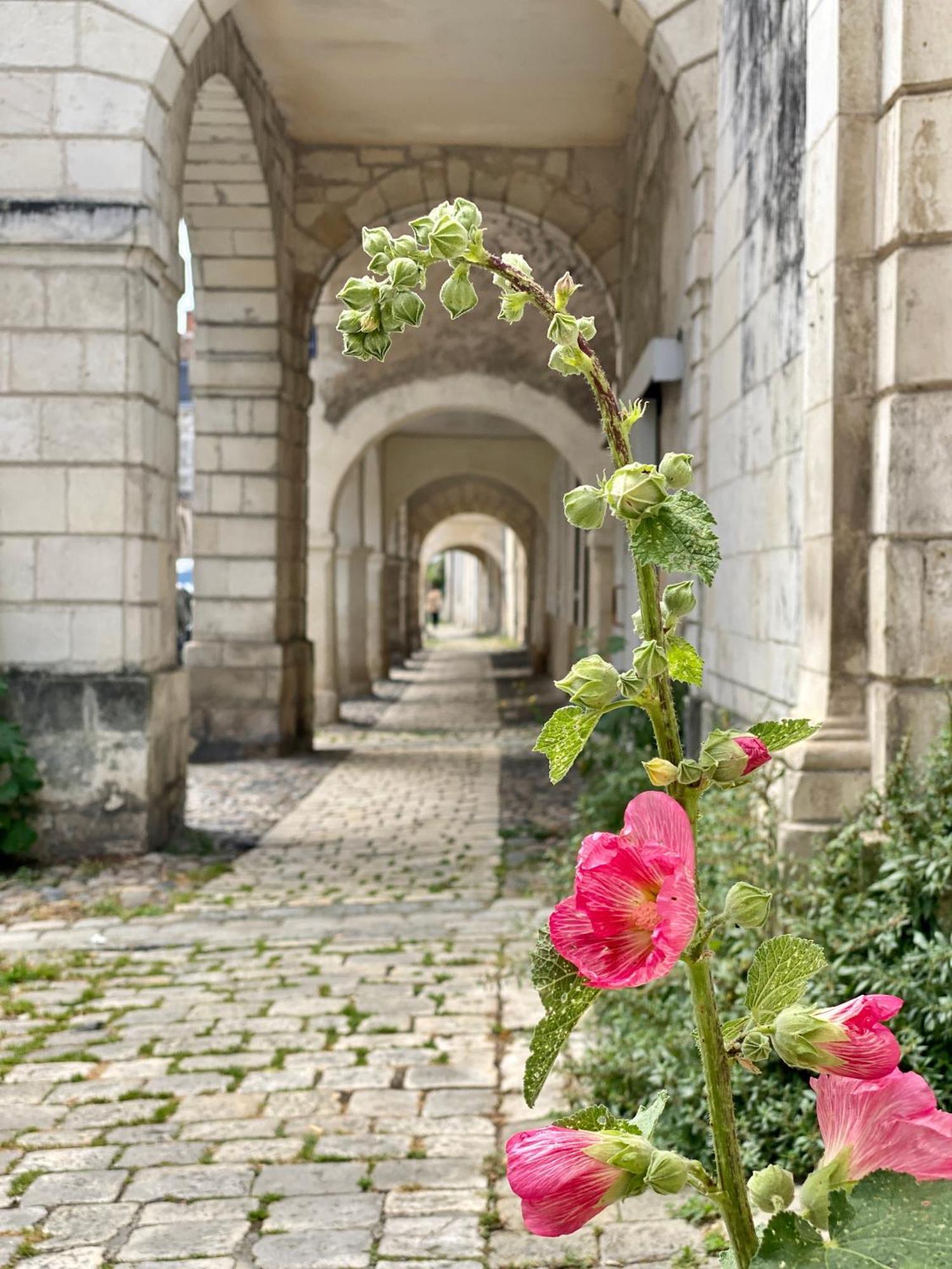 Les Pertuis Rochelais Bed & Breakfast Perigny  Bagian luar foto